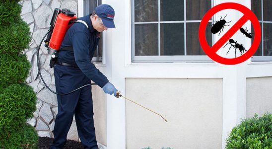 Foça Uçan Haşere İlaçlama böcek ilaçlama ve haşere kontrolü — ilaclama-tr.com